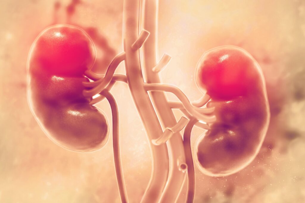 Cáncer de riñón: síntomas, tasas de supervivencia y costo del tratamiento