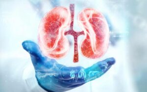 Comprensión del cáncer de riñón: desde el diagnóstico hasta las opciones de tratamiento quirúrgico